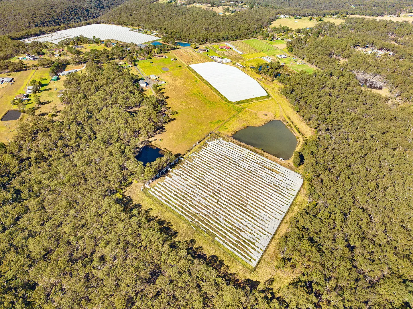 Additional image 7 of 141 Aberfoyle Road, Wedderburn NSW 2560