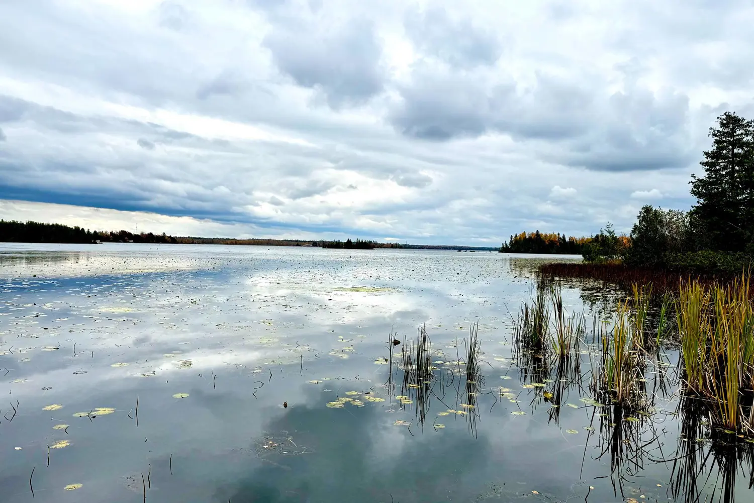 Additional image 18 of 586 Rohallion Road