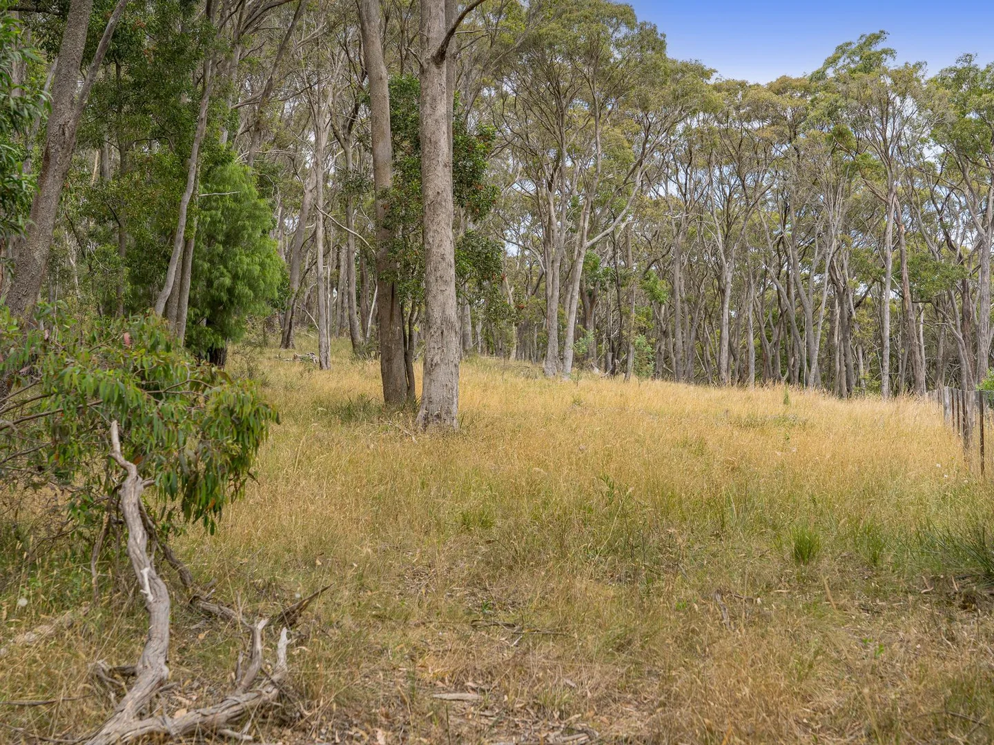 Additional image 4 of 50 Trounces Lane, Mount Egerton VIC 3352