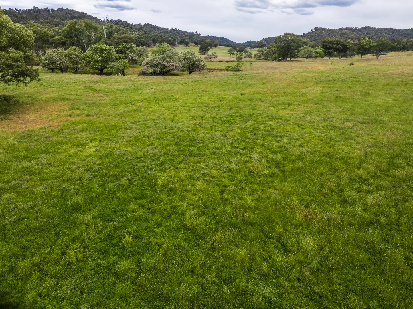 Additional image 23 of The Spring 561 Mountain Valley Road, Neurea NSW 2820