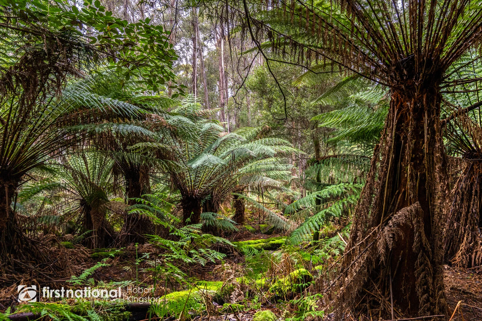 Additional image 17 of 240 Watsons Road, Kettering TAS 7155