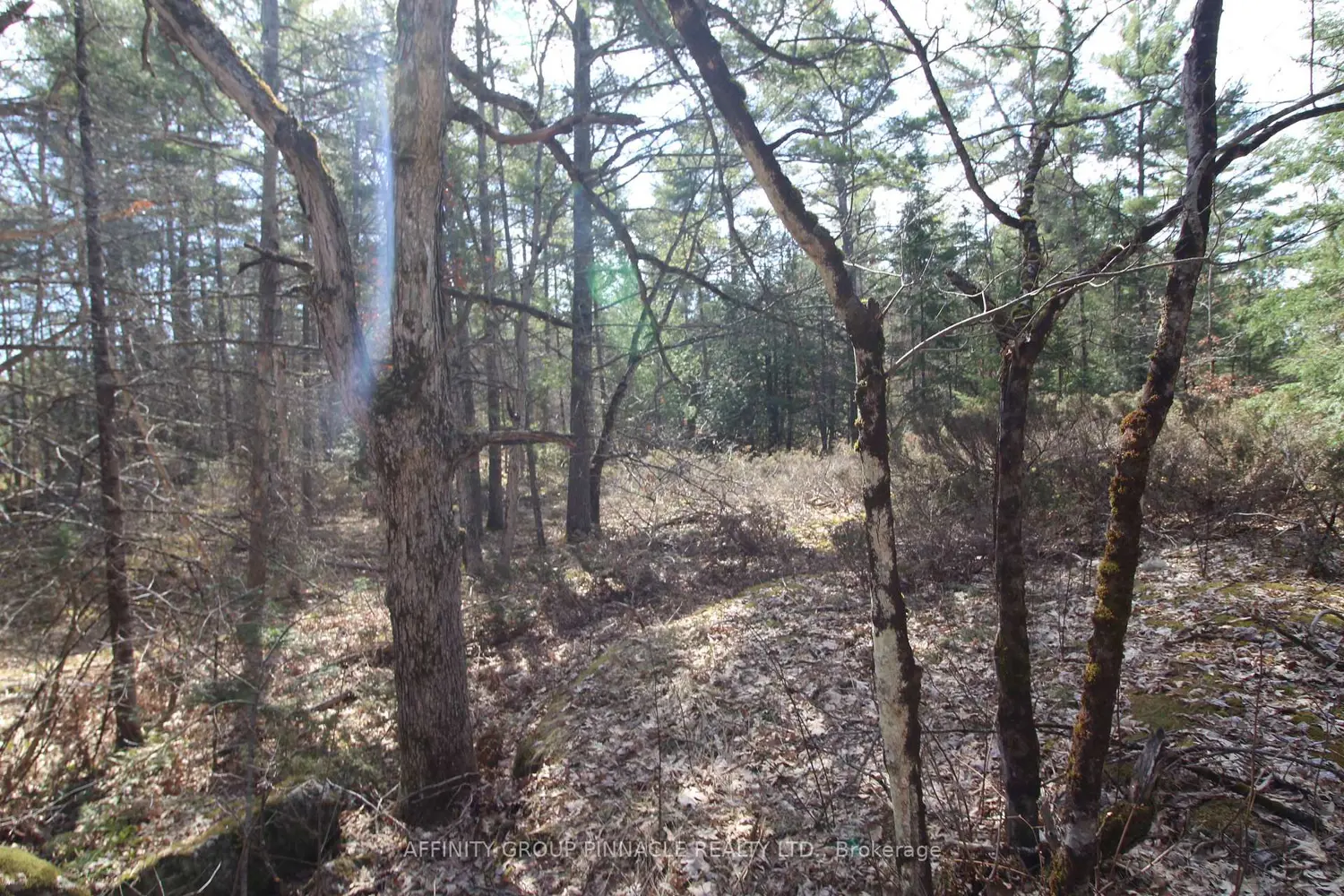 Additional image 11 of Lot 15 Concession 9