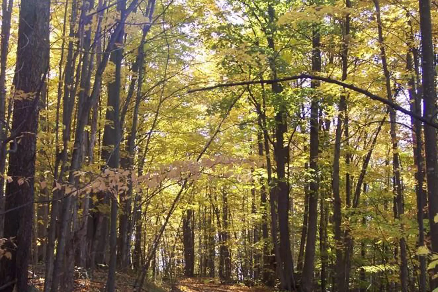 Additional image 3 of 0000 County 43 Road