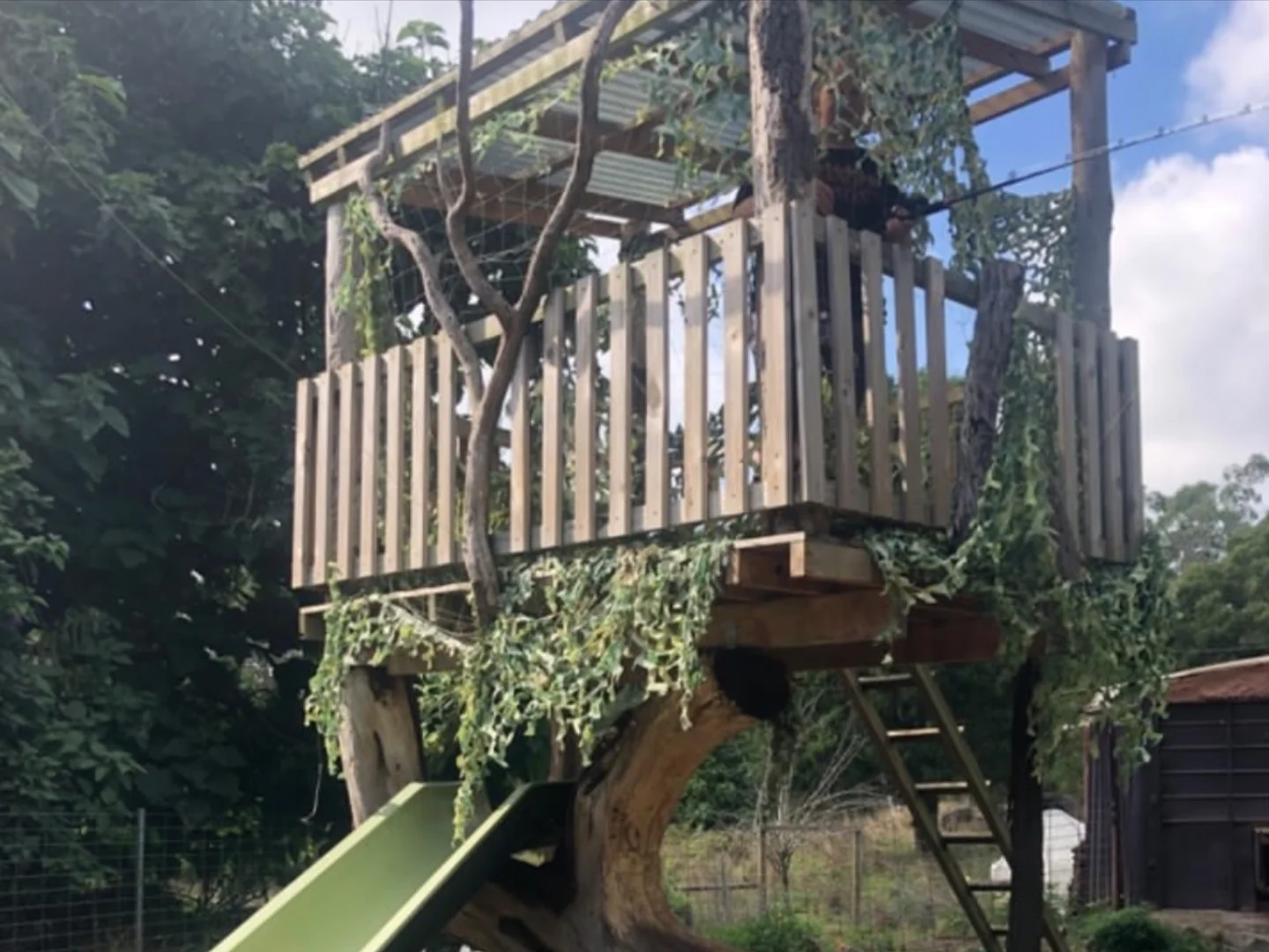 Additional image 10 of Carpendeit VIC 3260