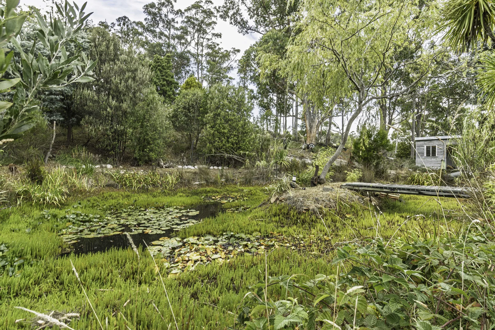 Additional image 43 of 242 Woolleys Road, Lonnavale TAS 7109