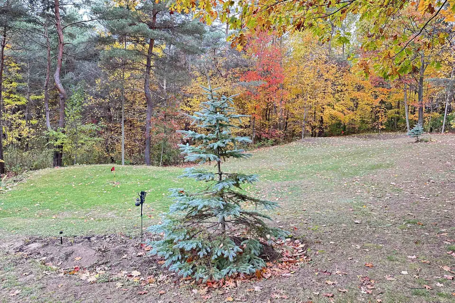 Additional image 13 of 26 Cranborne Chase