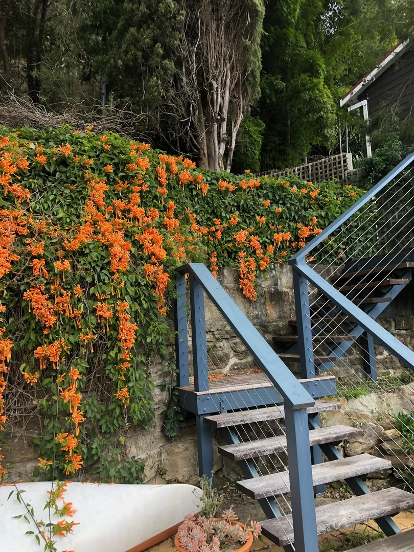 Additional image 21 of 4 Calabash Point, Berowra Waters NSW 2082