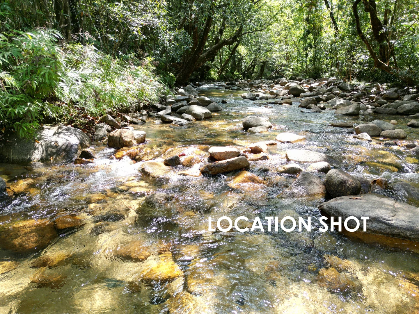 Additional image 29 of 541 Bulgun Rd, Feluga QLD 4854