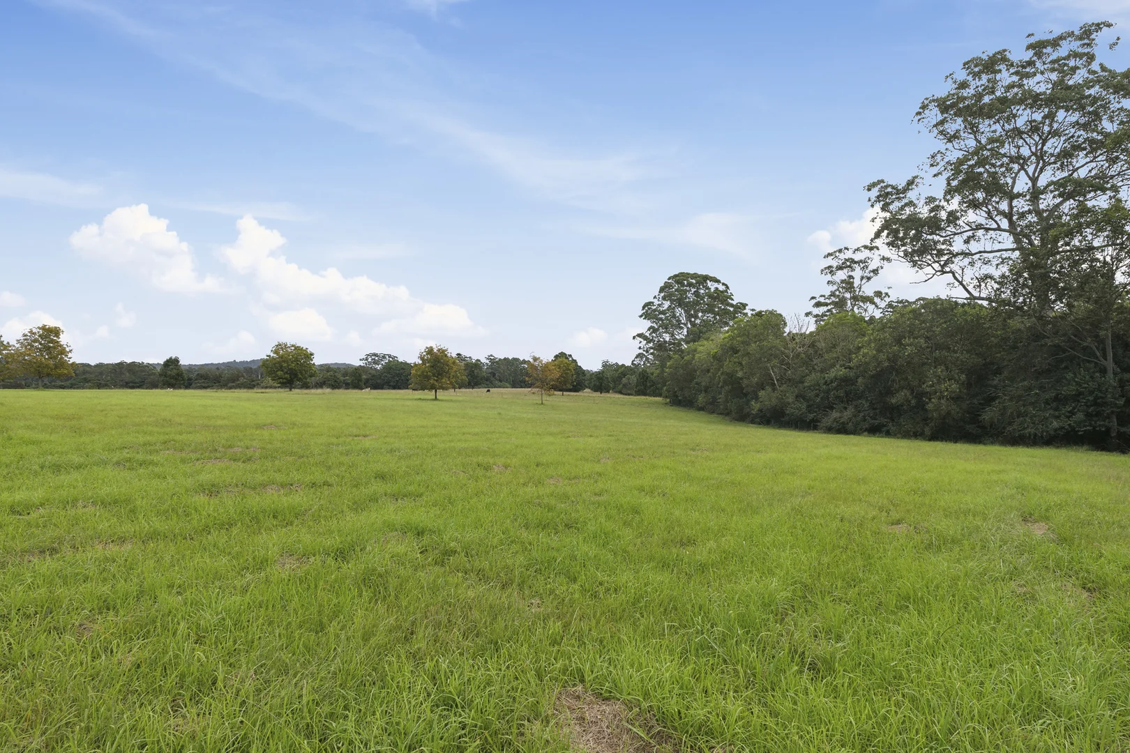 Additional image 11 of 5 Jenkinson Place, Nana Glen NSW 2450