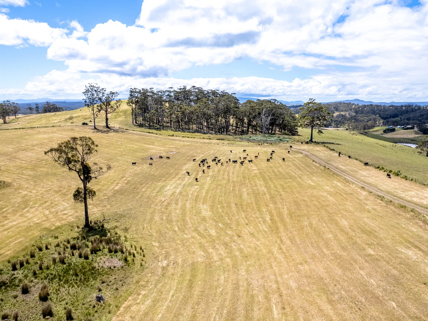 Additional image 32 of "Hurdle Road" 475 Saltwater River Road, Saltwater River TAS 7186