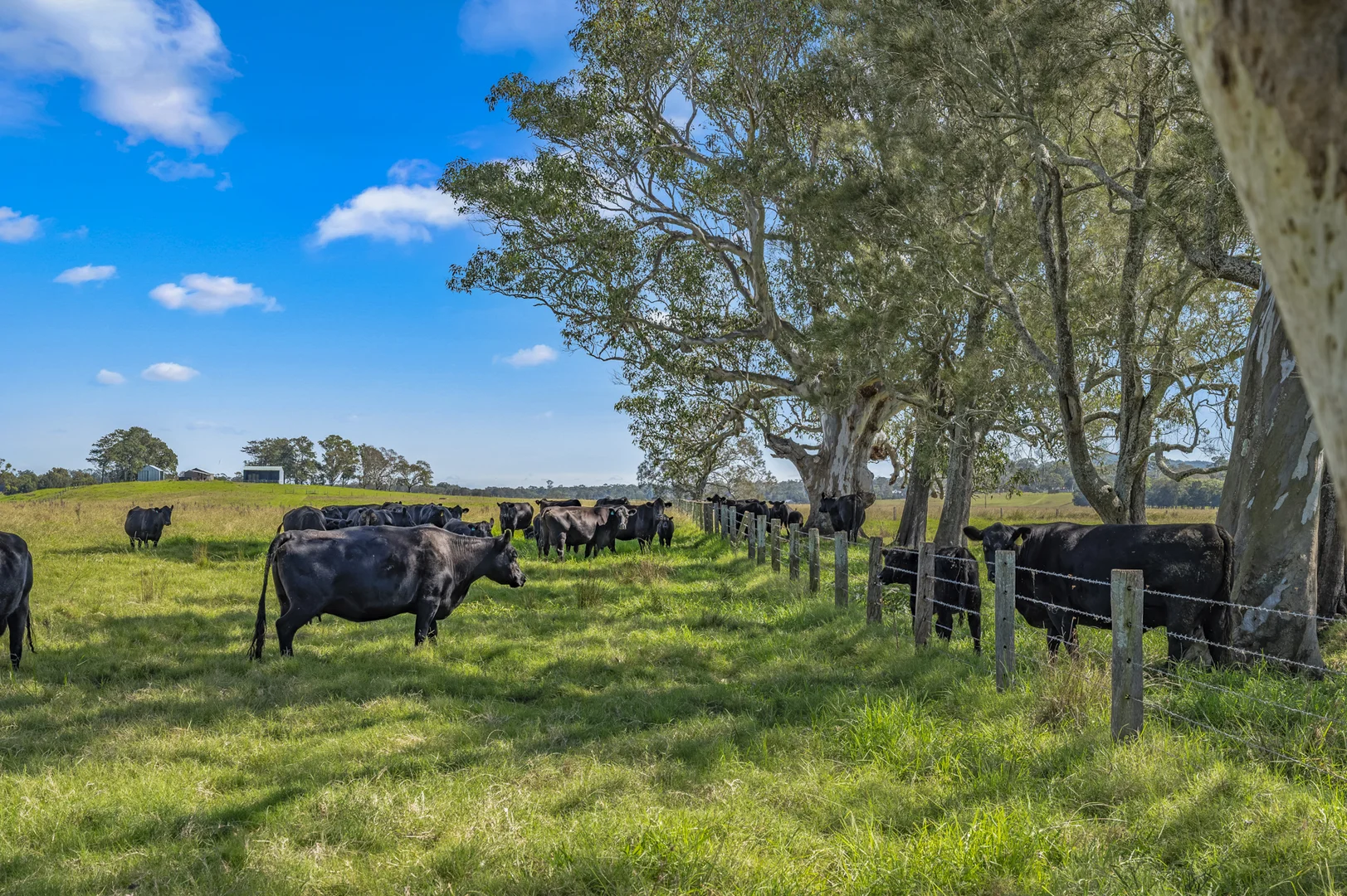 Additional image 23 of Brandon View |1102 Seaham Road, Seaham NSW 2324