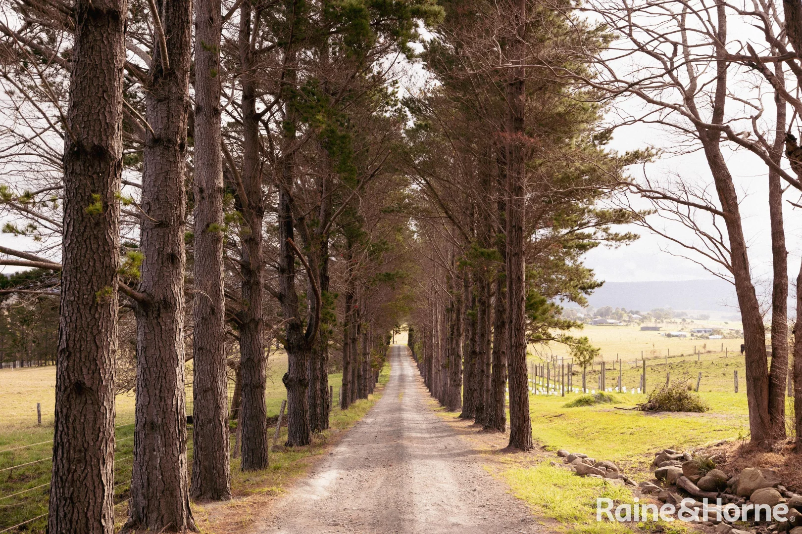 Additional image 29 of 34D Woodstock Road, Woodstock NSW 2538