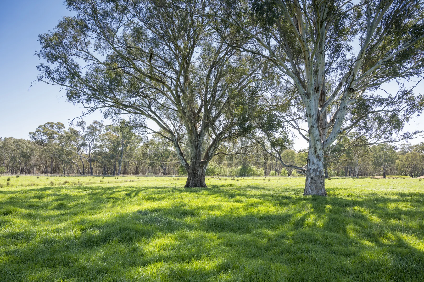 Additional image 10 of CA32 Baddaginnie-Benalla Road, Benalla VIC 3672