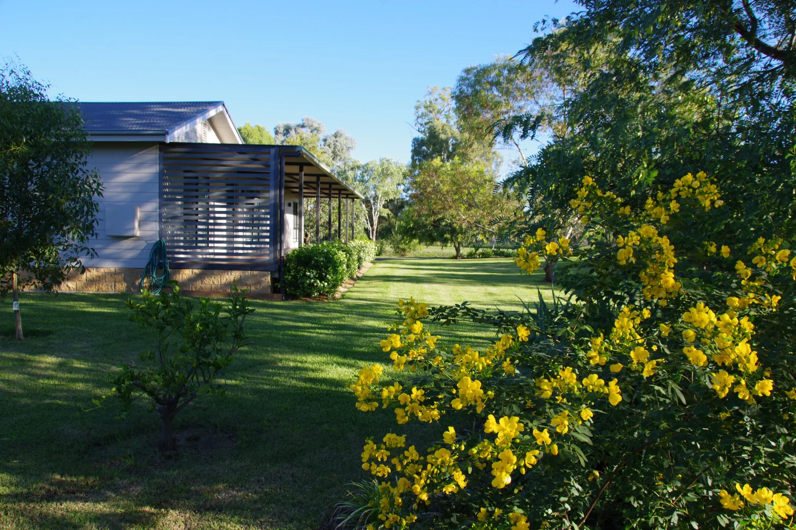 Additional image 27 of 3 Illingworth Street, Narrabri NSW 2390