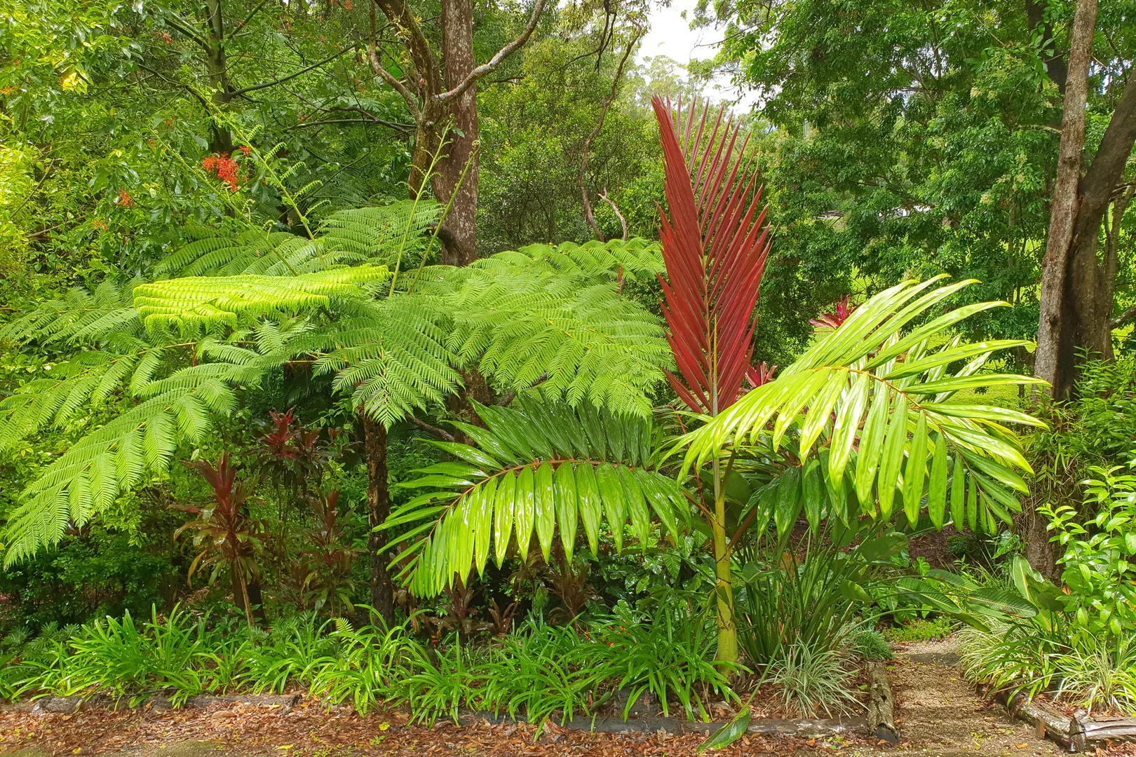 Additional image 53 of 30 Tanglewood Drive, Tanglewood NSW 2488