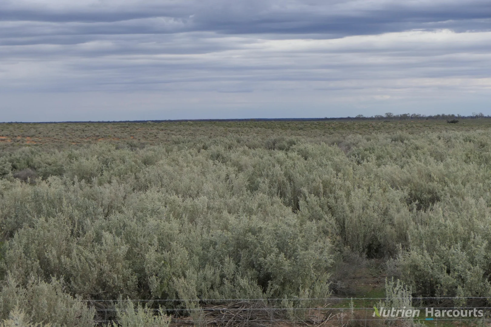 Additional image 25 of * Magenta Aggregation, Balranald NSW 2715