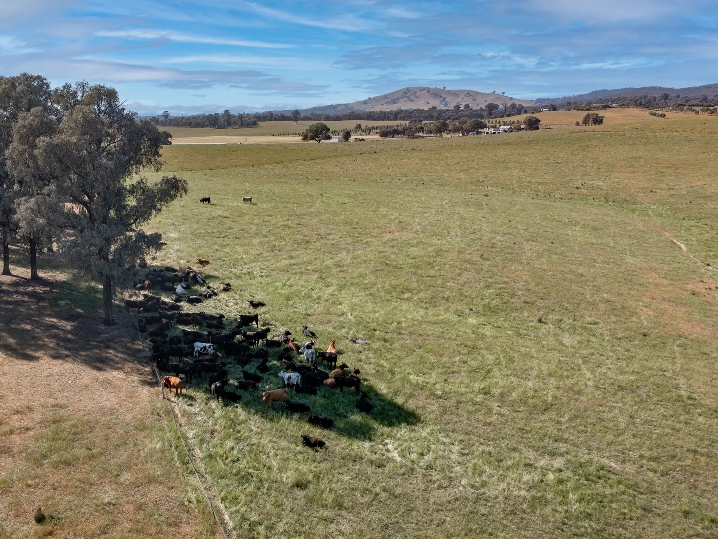 Additional image 9 of Eleven Mile Creek Road, Glenrowan West VIC 3675