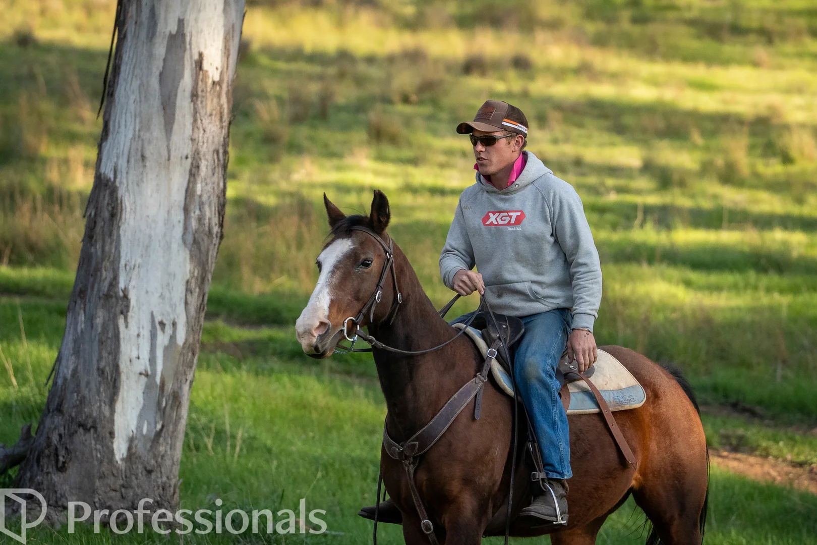 Additional image 56 of 361 Dicksons Lane, Orange NSW 2800