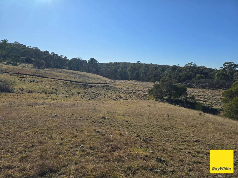 Additional image 22 of 270 Pine Bank Drive, Lower Boro NSW 2580