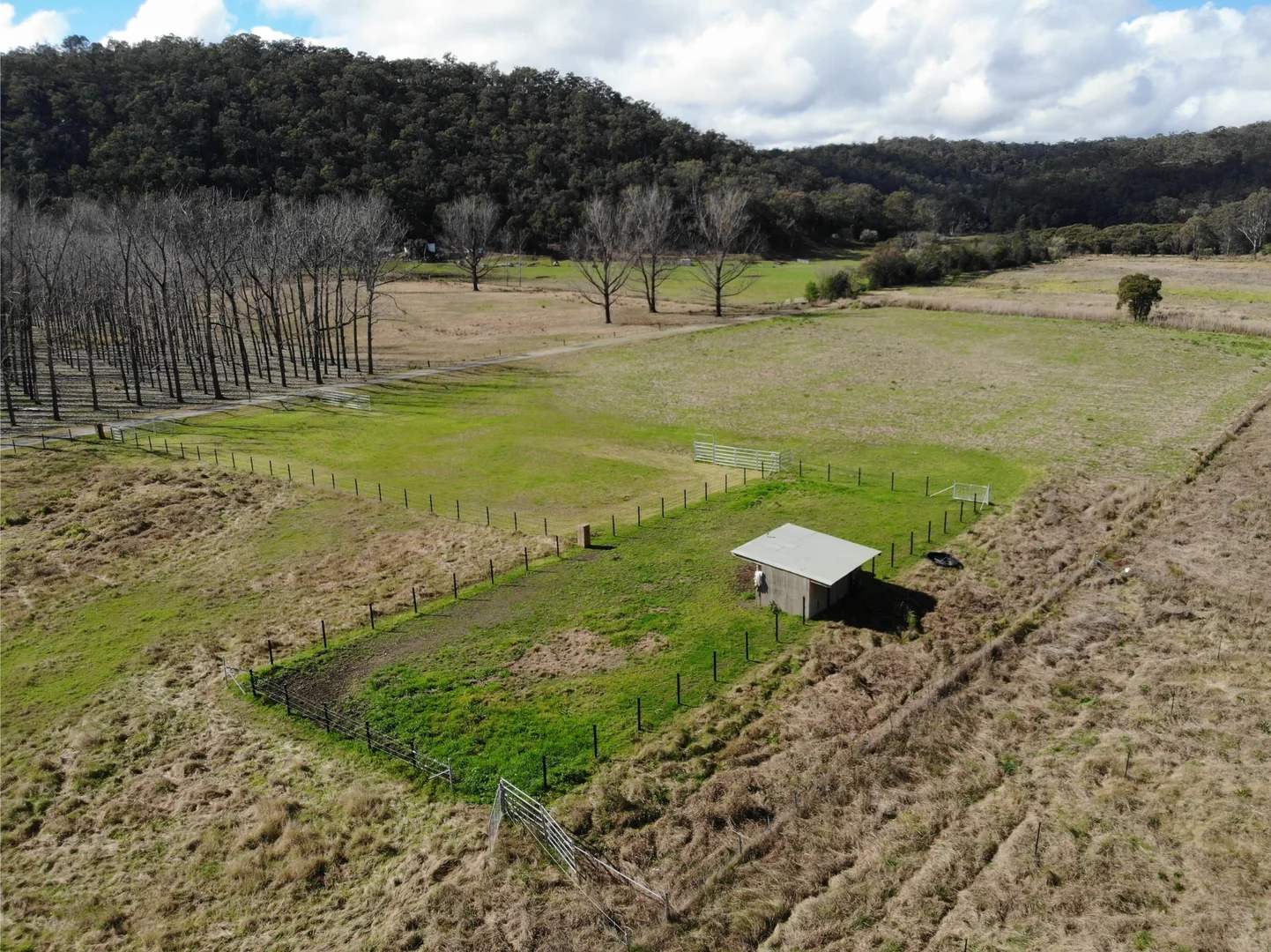 Additional image 7 of 851 River Road, Lower Portland NSW 2756