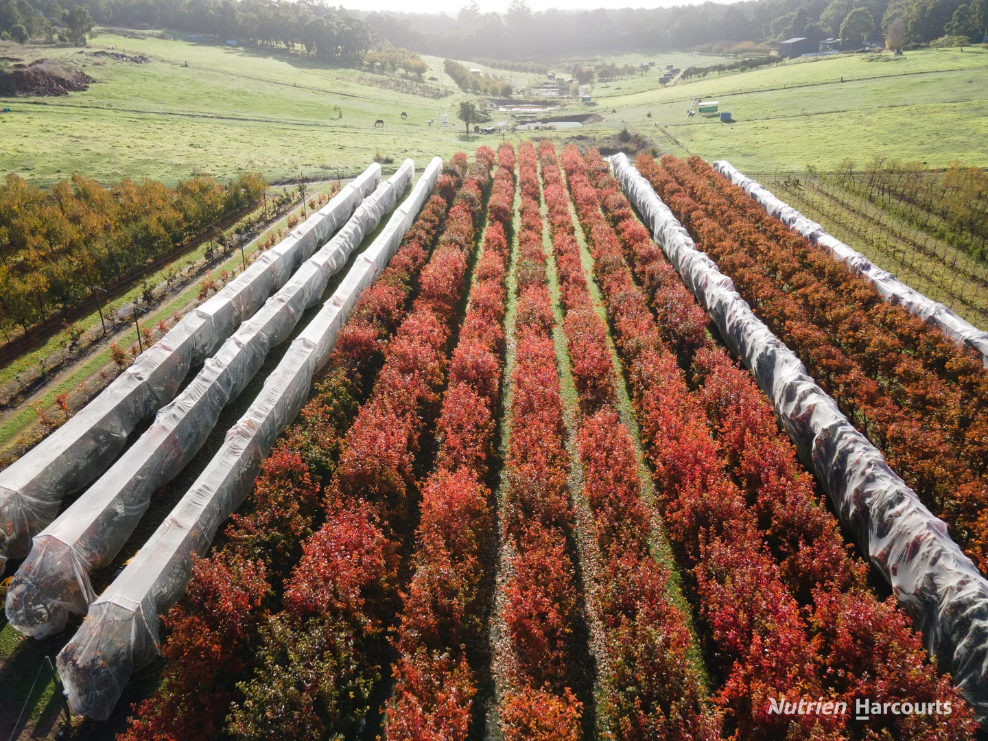 Additional image 2 of 176 Chevin Road, Roleystone WA 6111