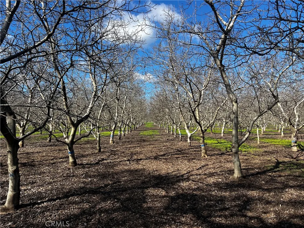 Additional image 23 of 3900 Stephens Road, Corning, CA 96021