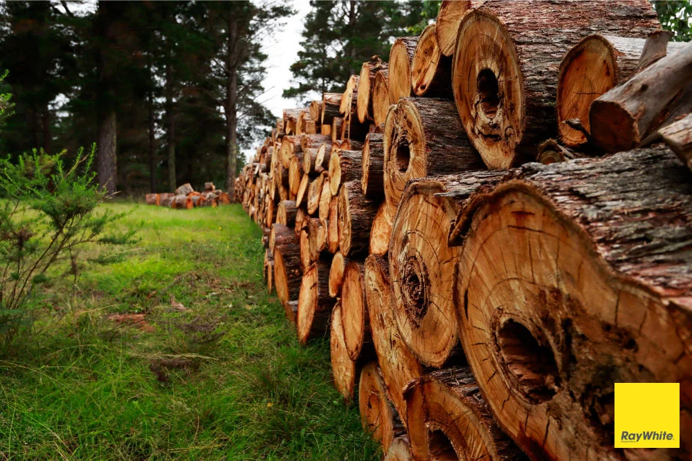 Additional image 8 of 270 Pine Bank Drive, Lower Boro NSW 2580