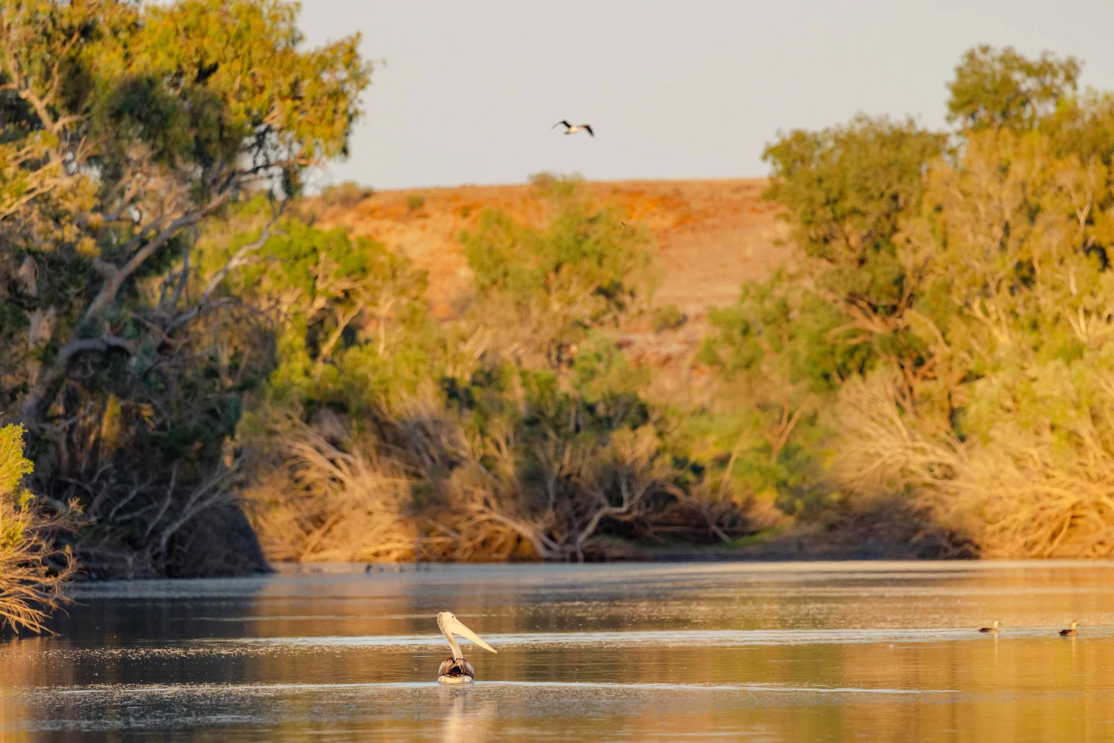 Additional image 13 of Durham QLD 4492