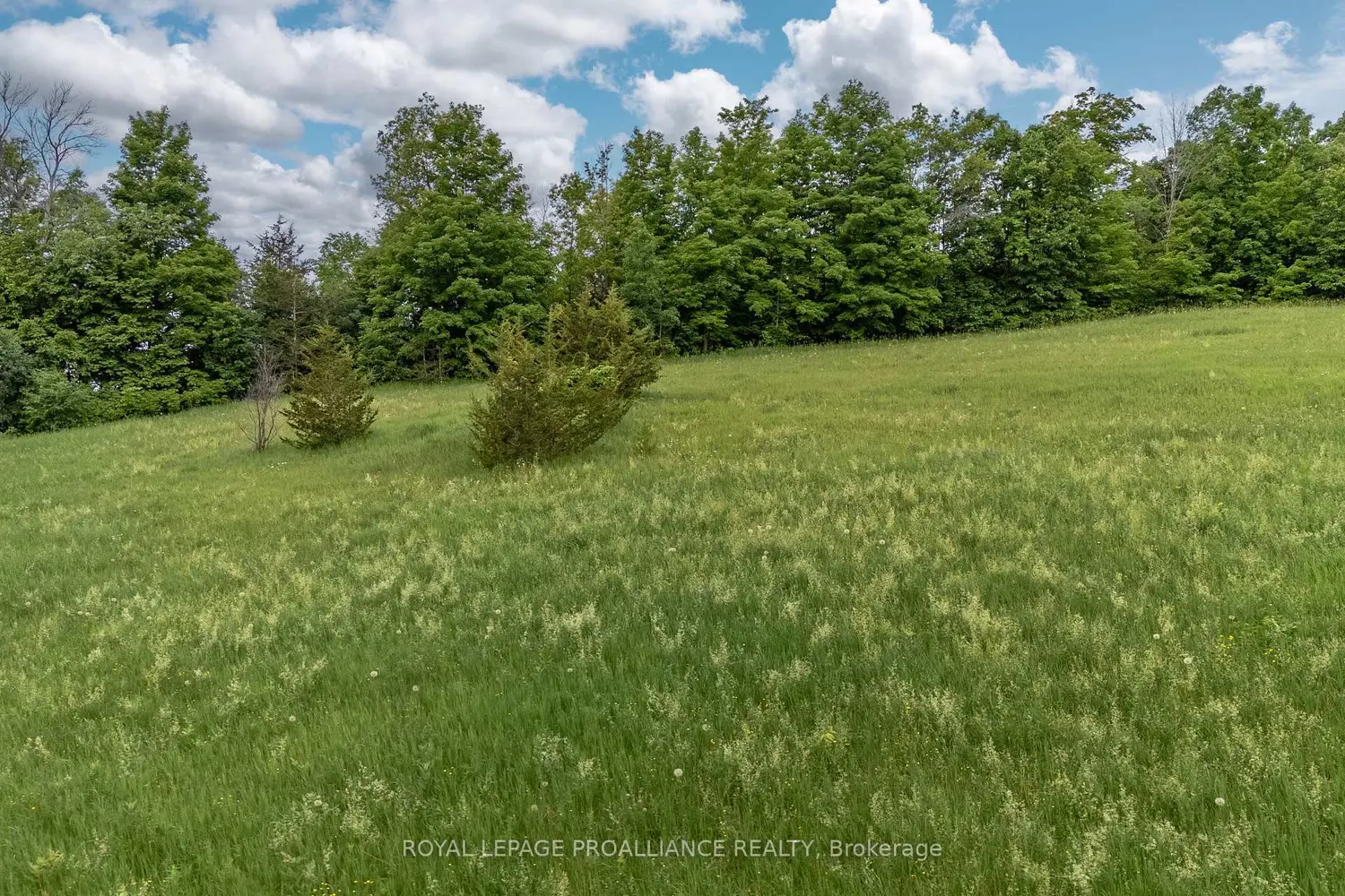 Additional image 13 of 5035 Blessington Road