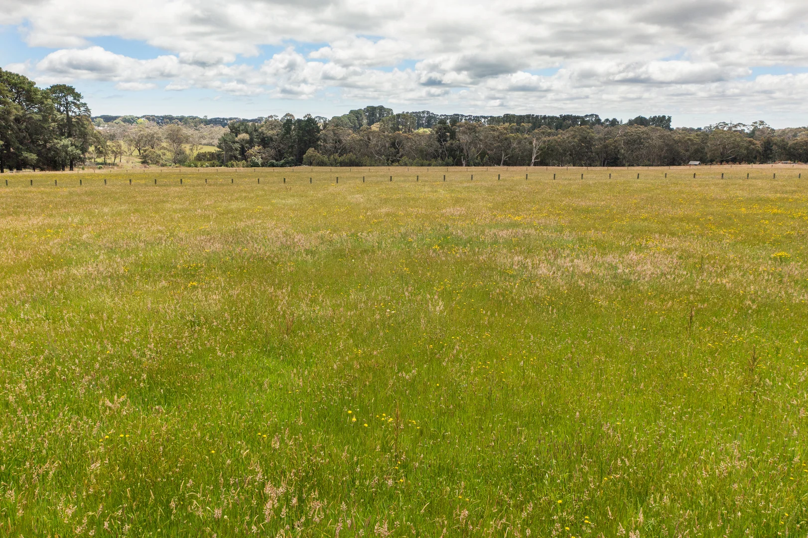 Additional image 9 of 8 Wonderland Avenue, Tuerong VIC 3915