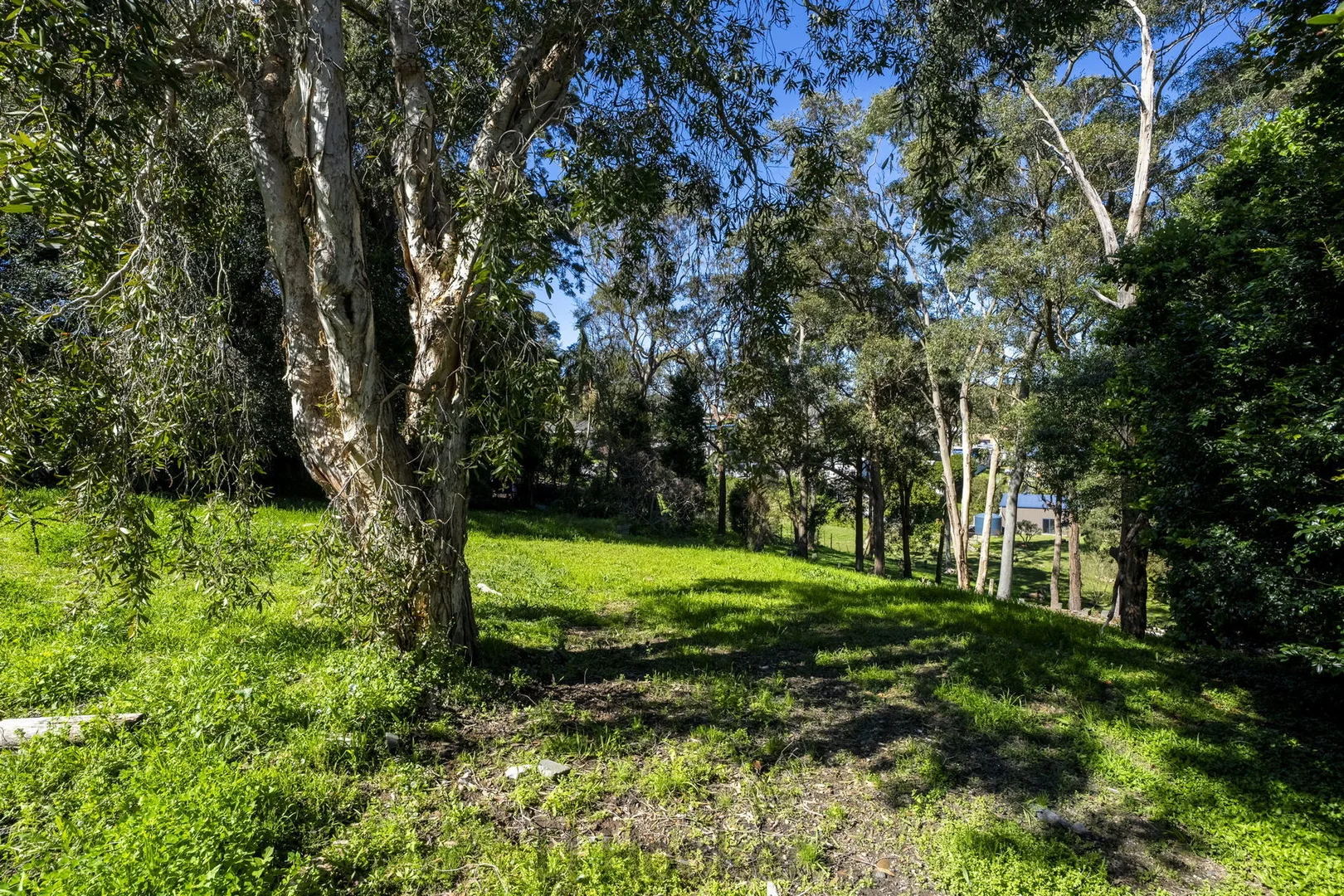 Additional image 3 of 88a Bayview Street, Warners Bay NSW 2282