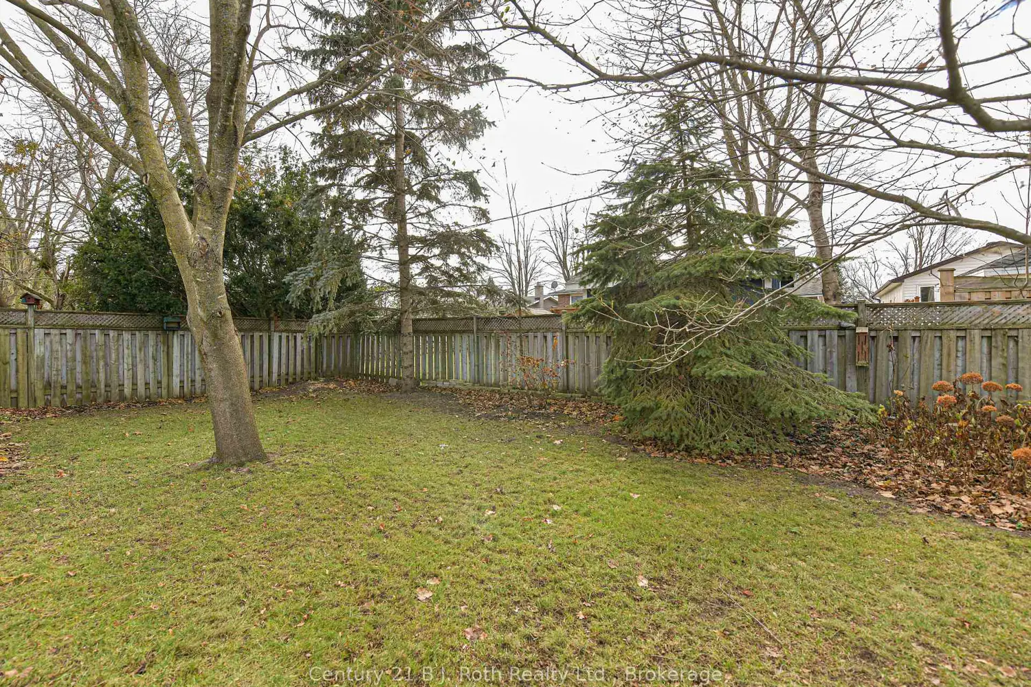 Additional image 18 of 215 Park Street