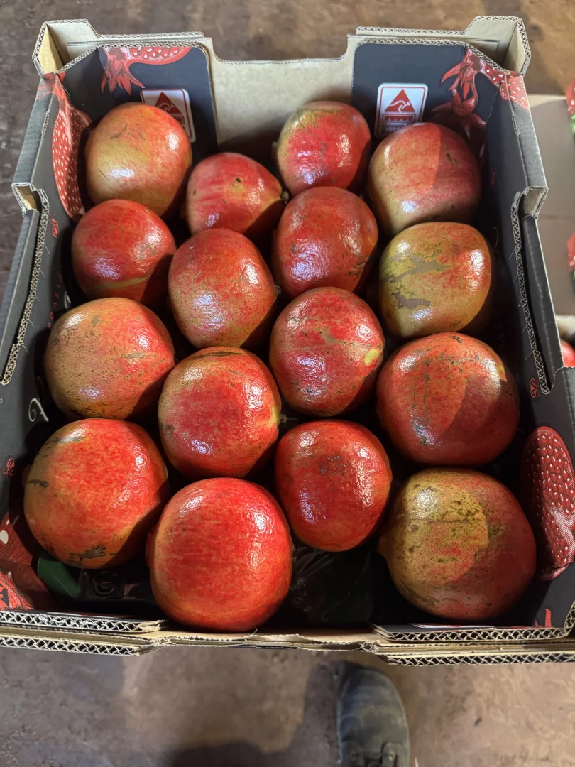 Additional image 22 of 440 Chewko Road, Mareeba QLD 4880