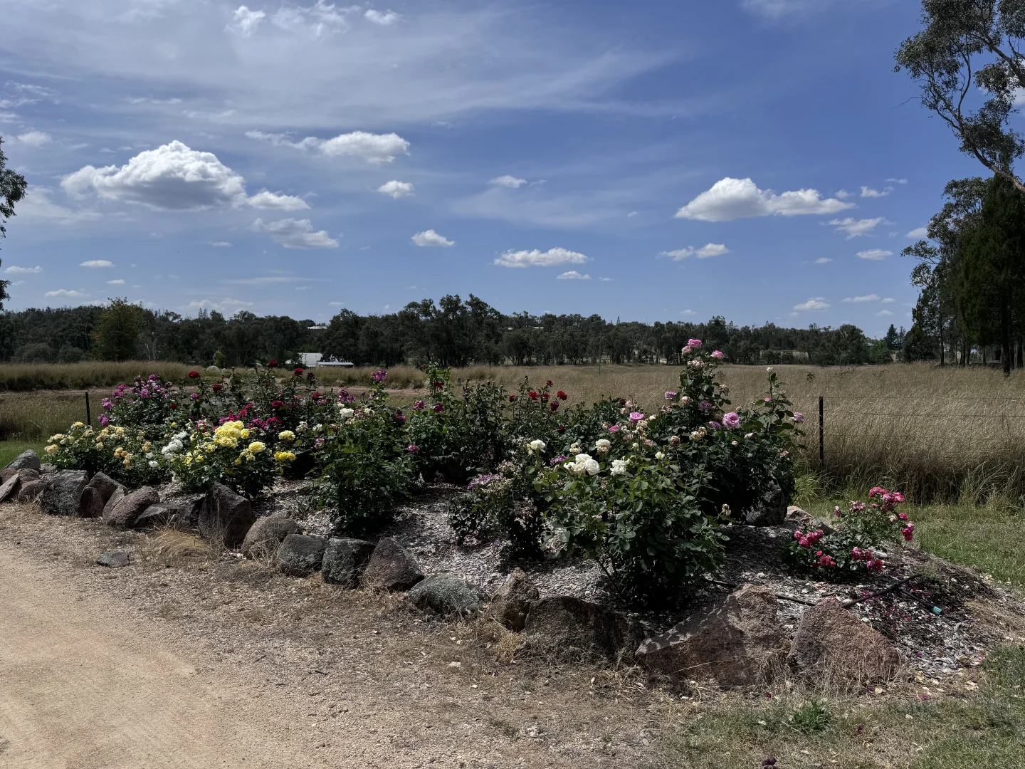 Additional image 28 of 3910 Bundarra Rd, Inverell NSW 2360