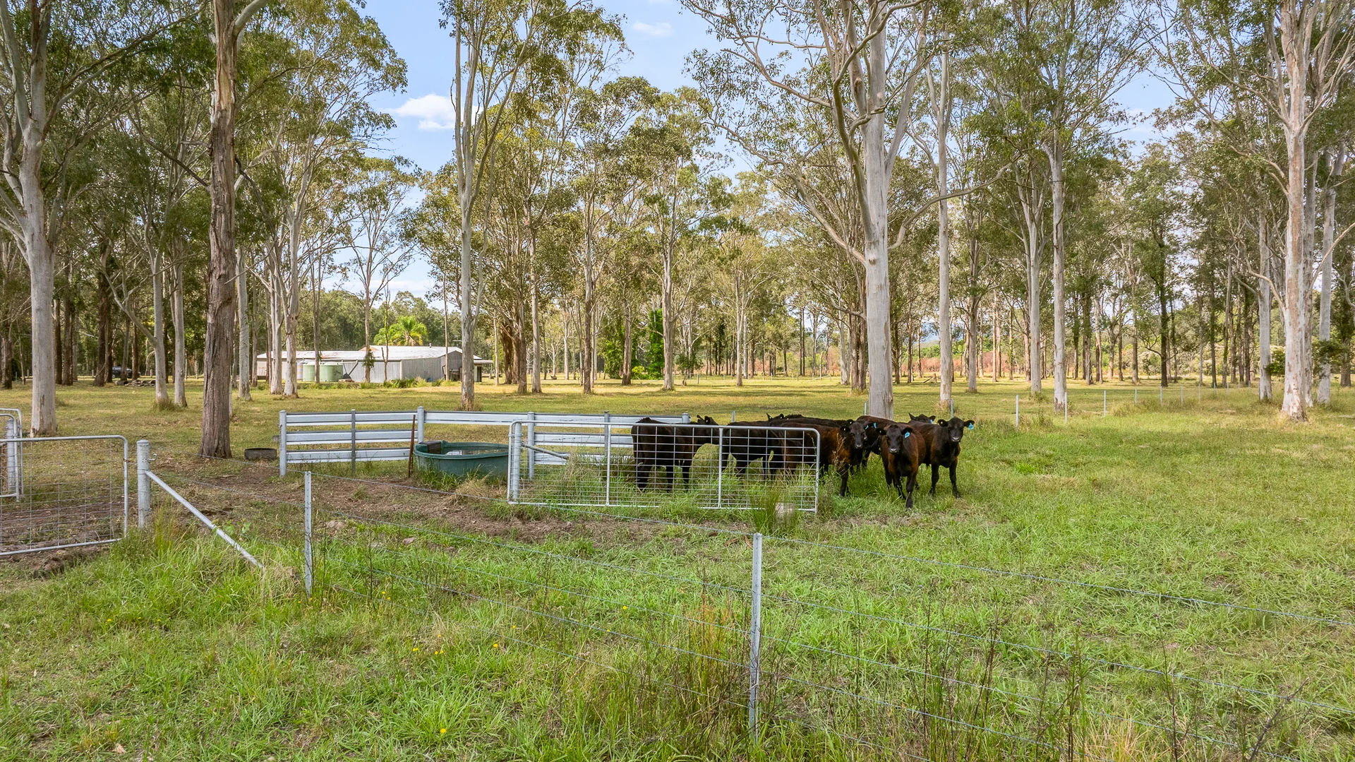 Additional image 26 of 3732 Clarence Town Road, Clarence Town NSW 2321