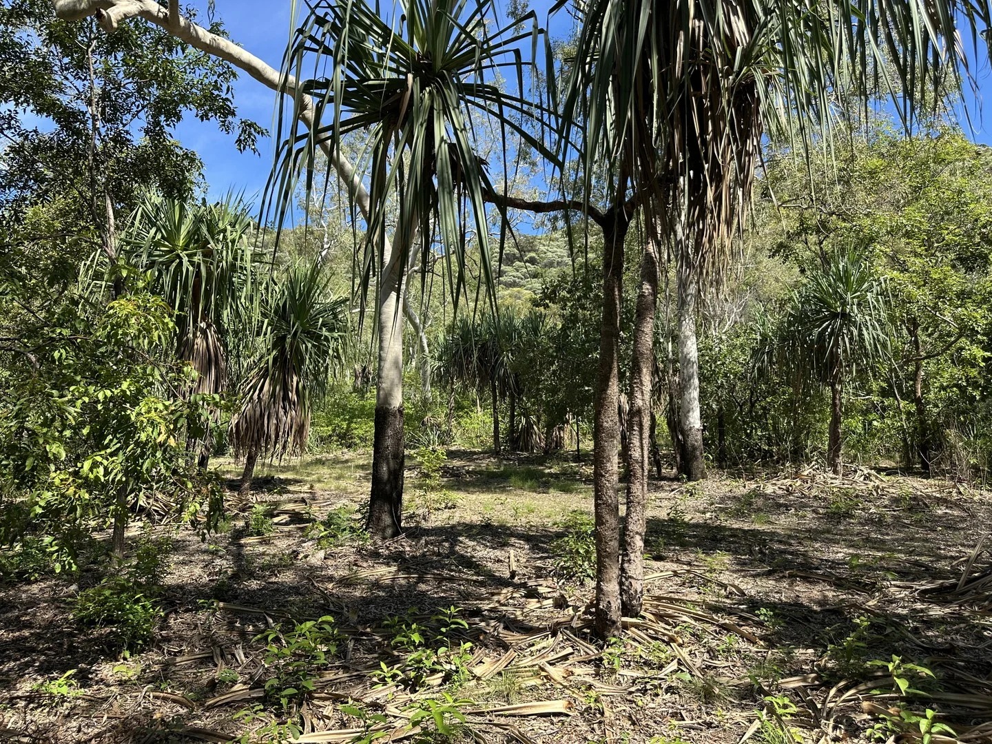 135 Horseshoe Bay Rd, Horseshoe Bay QLD 4819