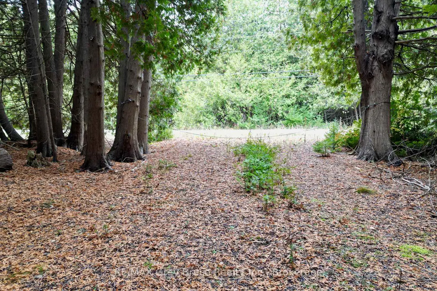 Additional image 20 of 44 Stokes Bay Road