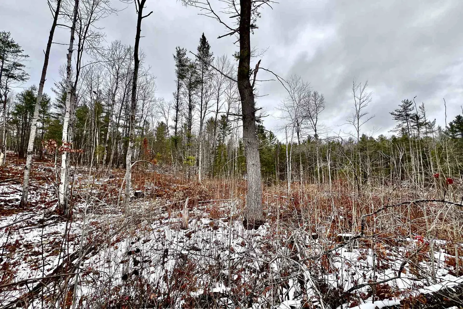 Additional image 14 of 744 Black Creek Road
