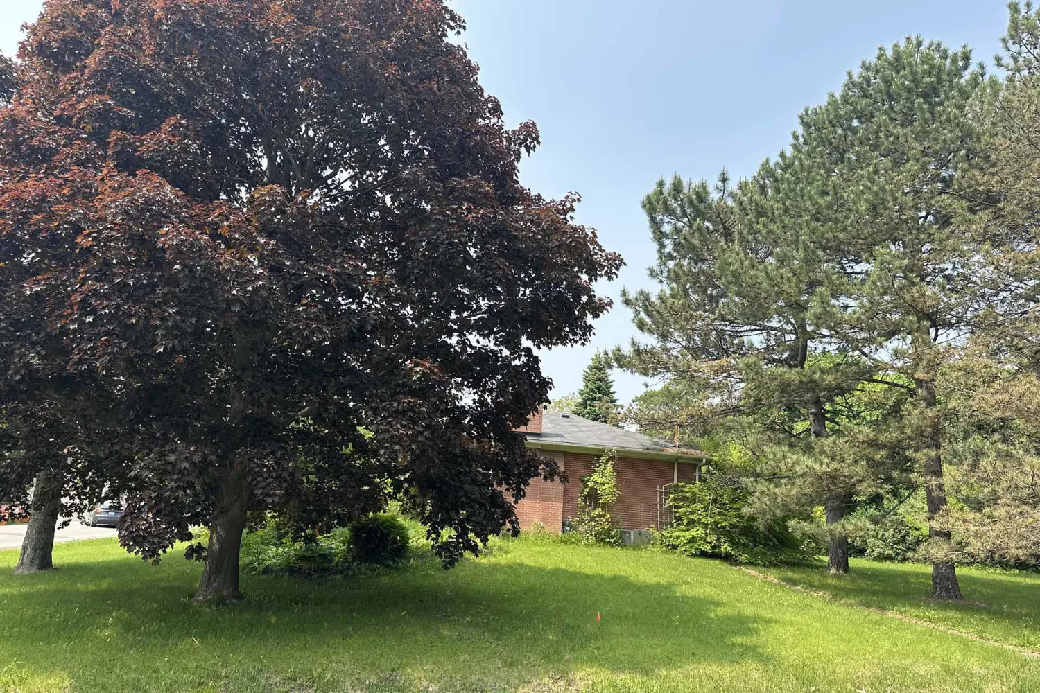 Additional image 3 of 21 Grandview Boulevard