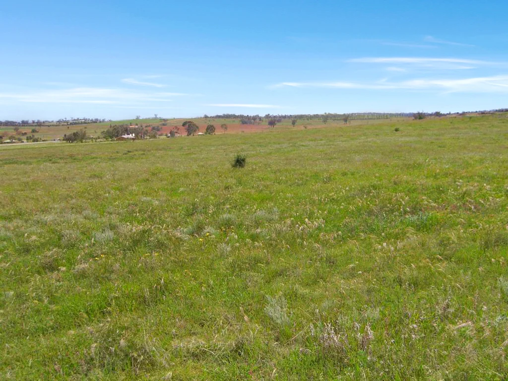 Additional image 8 of 62 Farrer Street, Parkes NSW 2870