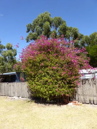 Additional image 74 of 369 Memana Road, Whitemark TAS 7255