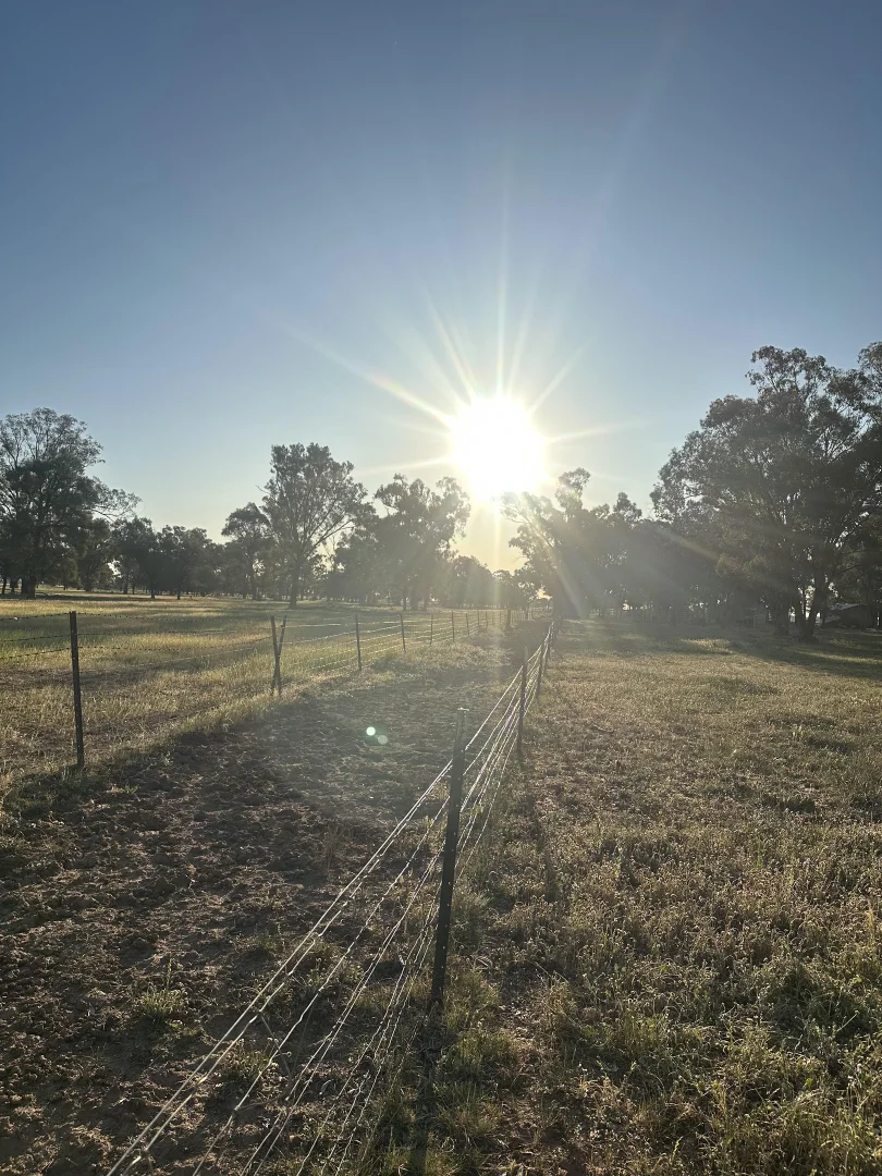 Additional image 11 of Lot 133 Troths Lane, Quandialla NSW 2721