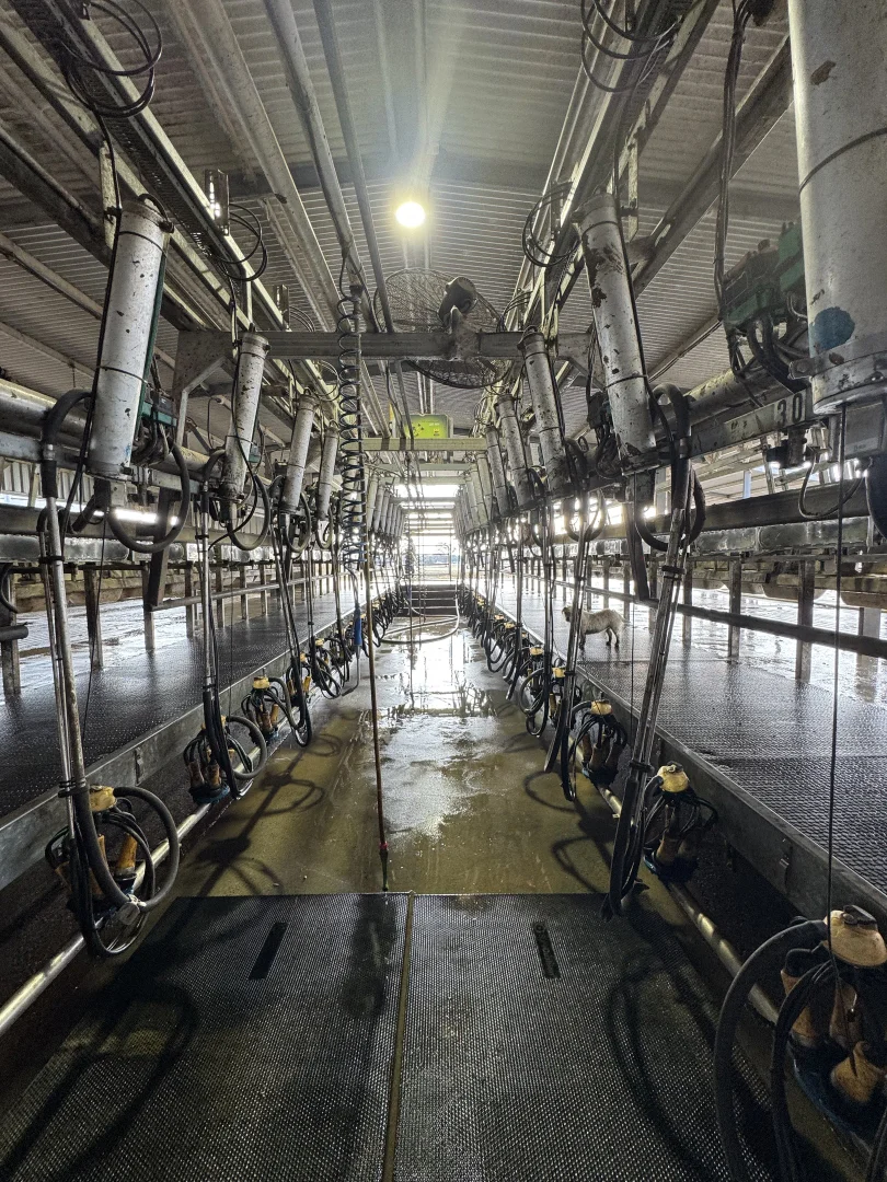 Additional image 29 of 301 Boggy Creek Road, Moyhu VIC 3732