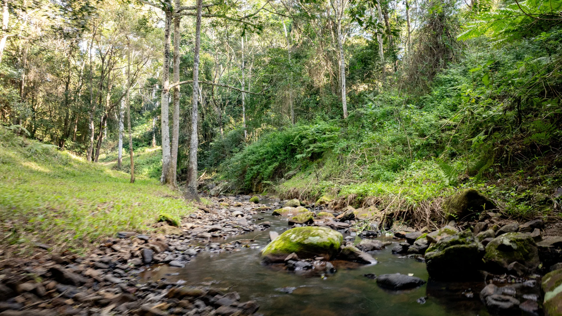Additional image 36 of 55 Trail Road, Maleny QLD 4552