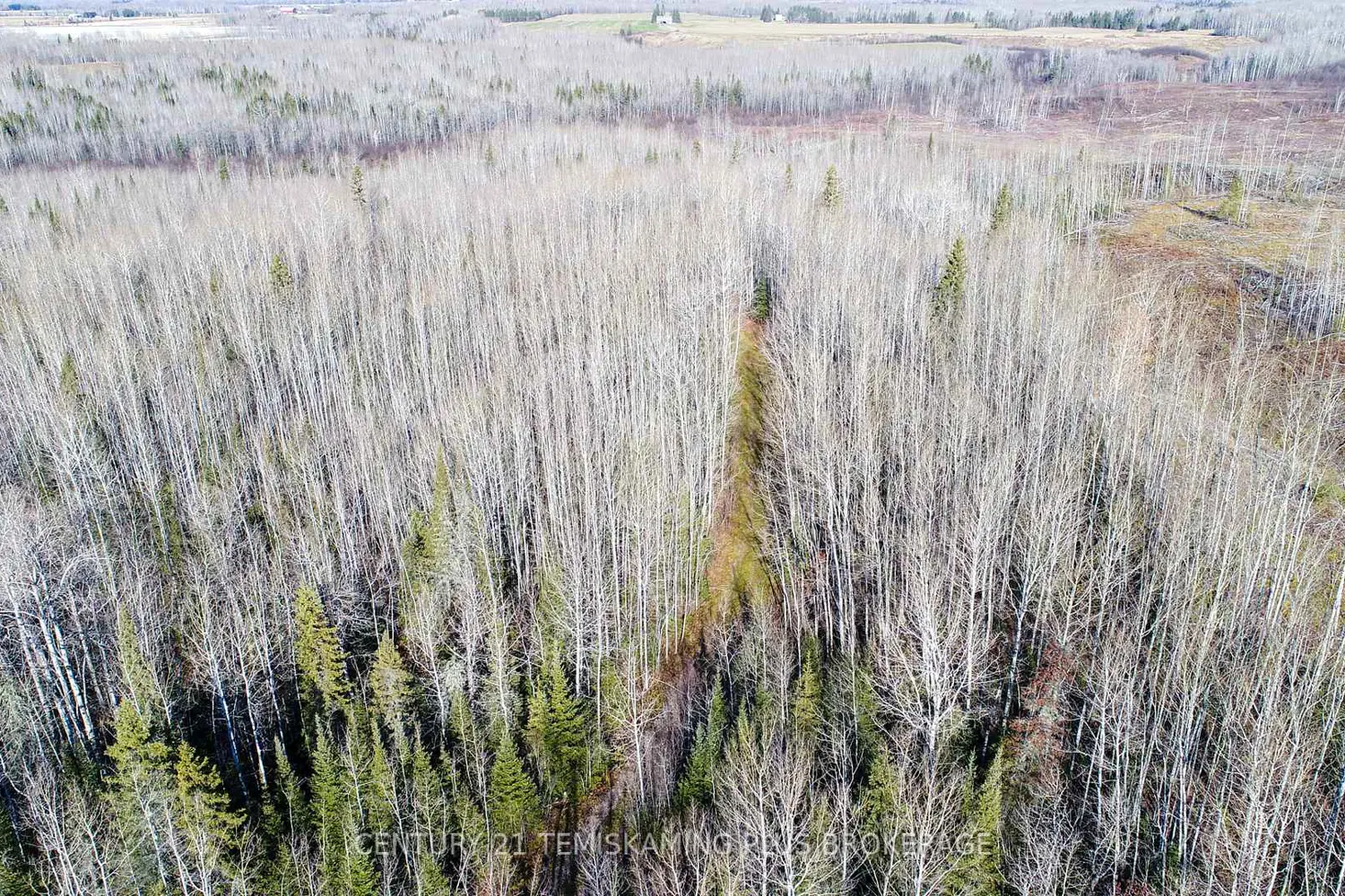 Additional image 11 of Pt 4 Cabin Road