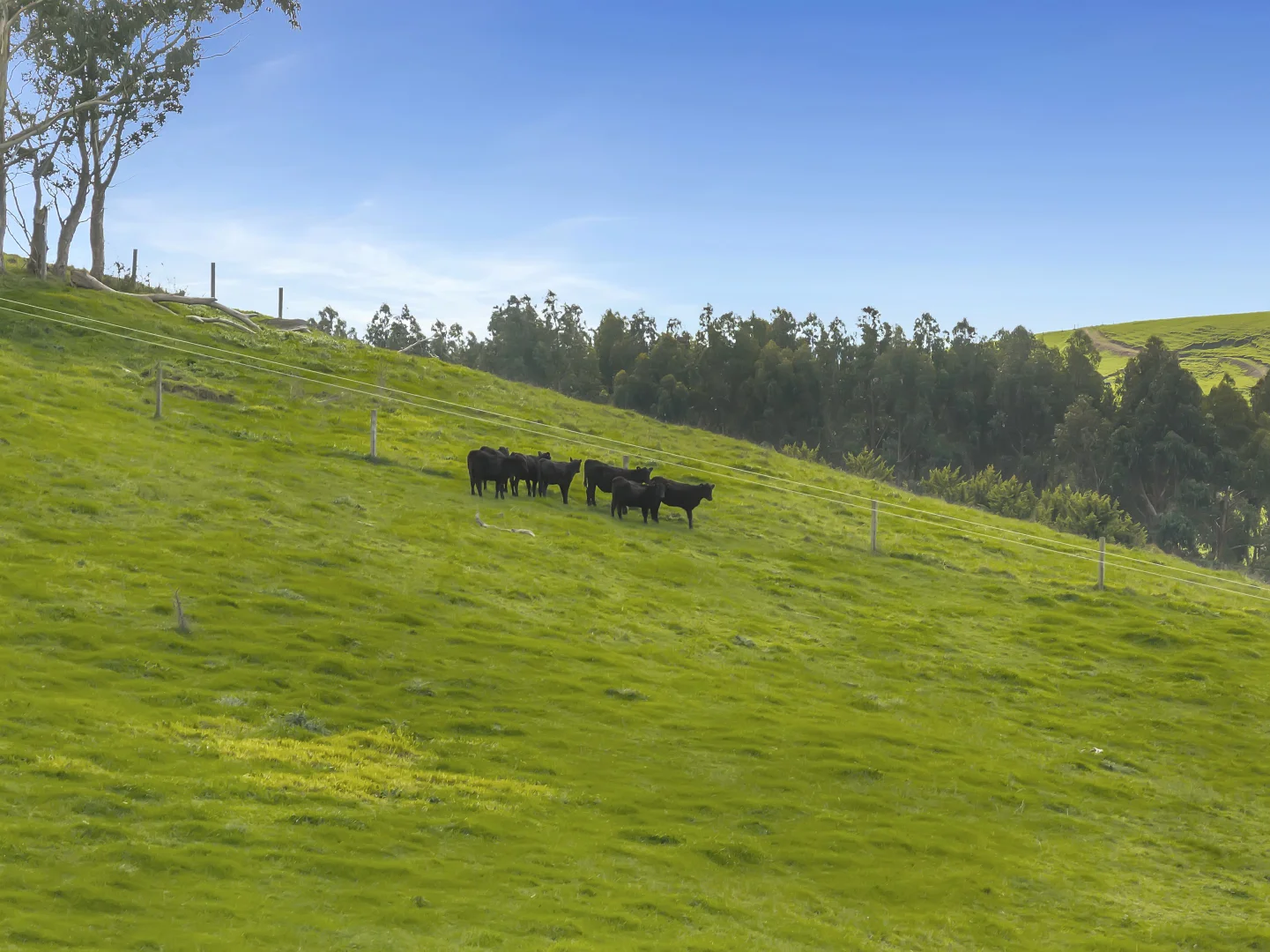 Additional image 18 of 210 Tozer Road, Almurta VIC 3979