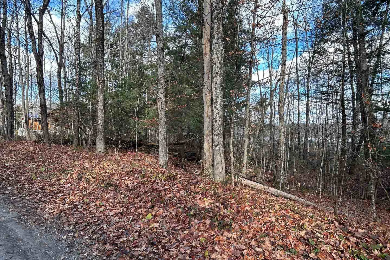 Additional image 16 of 0 Mill Lake Road