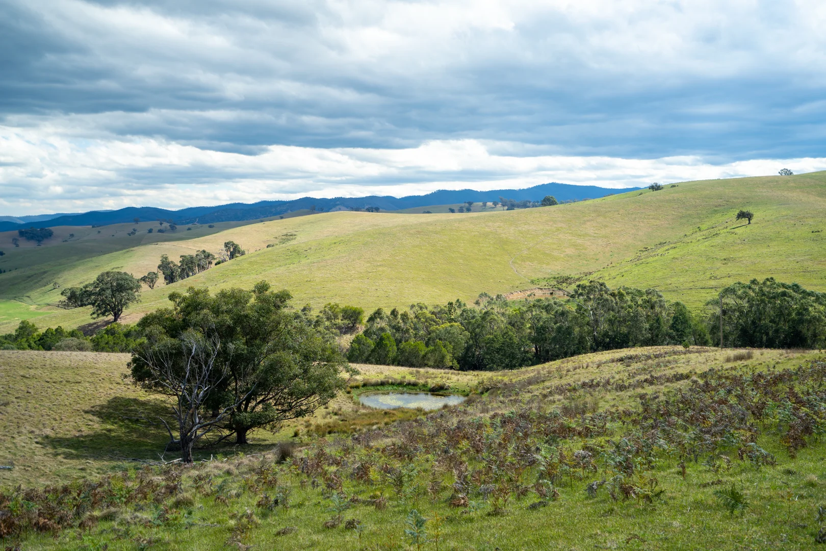 Additional image 18 of 6 Scott Road, Ensay VIC 3895