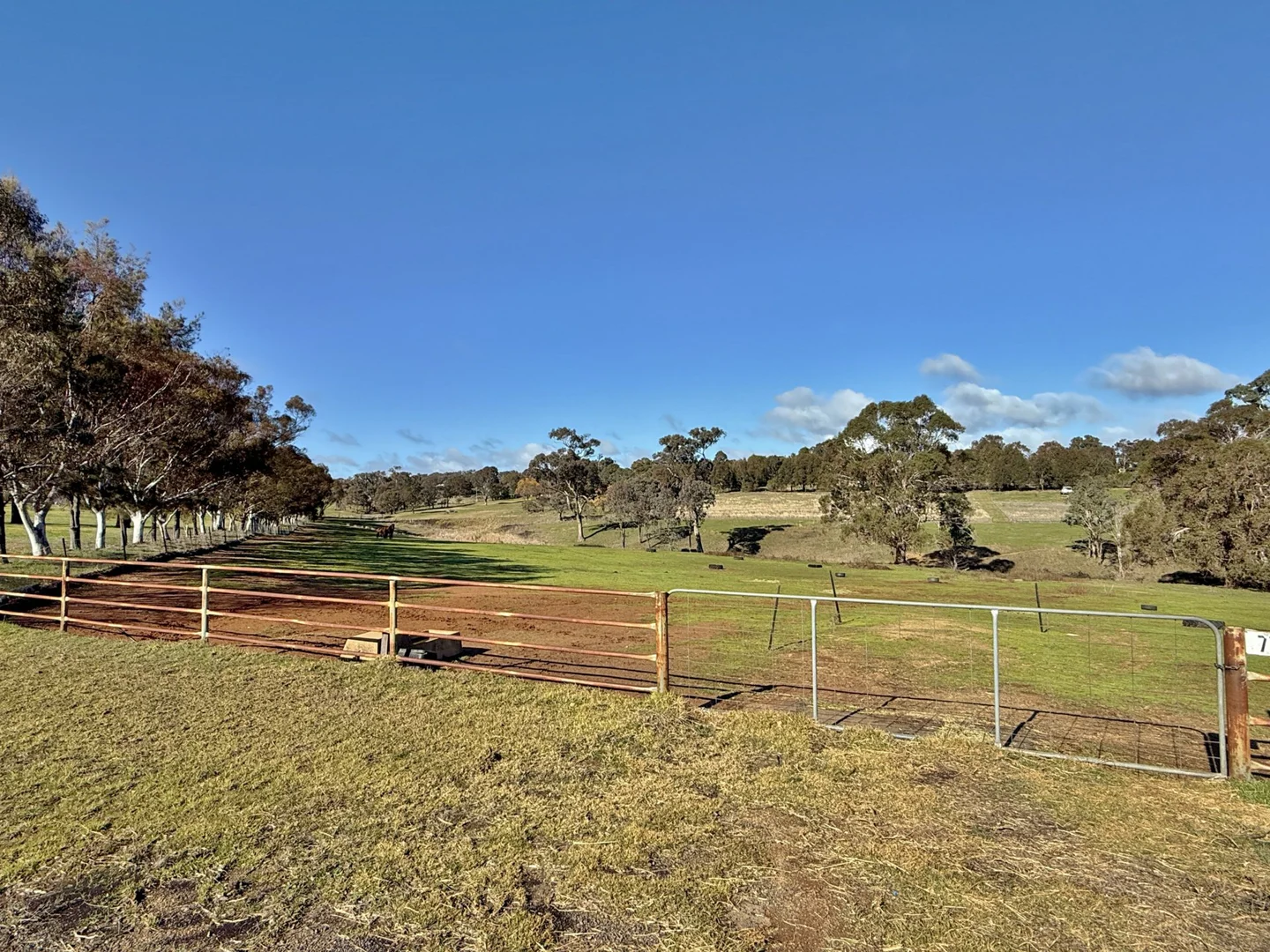 Additional image 8 of 77 Newton Road, Young NSW 2594