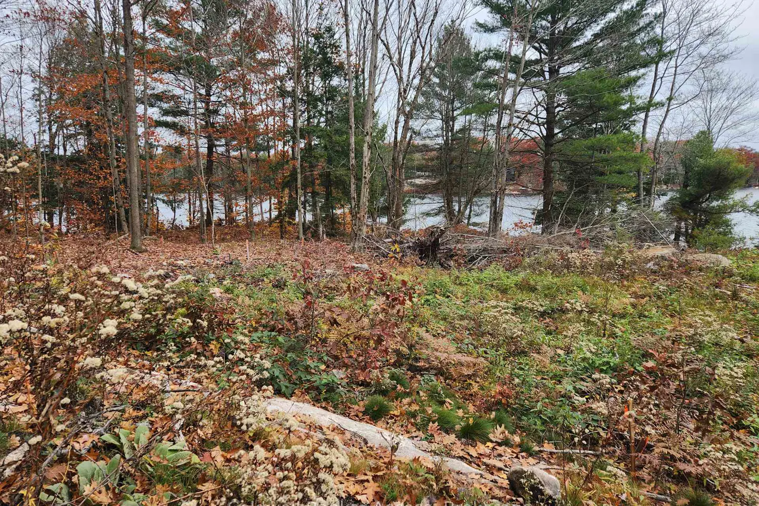 Additional image 10 of 52 Hawkins Point Road